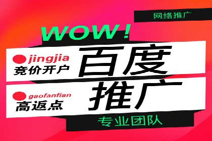 某品牌抖音信息流广告的投放过程与效果评估